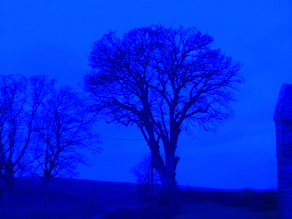 Webcam photo for 07 hrs today