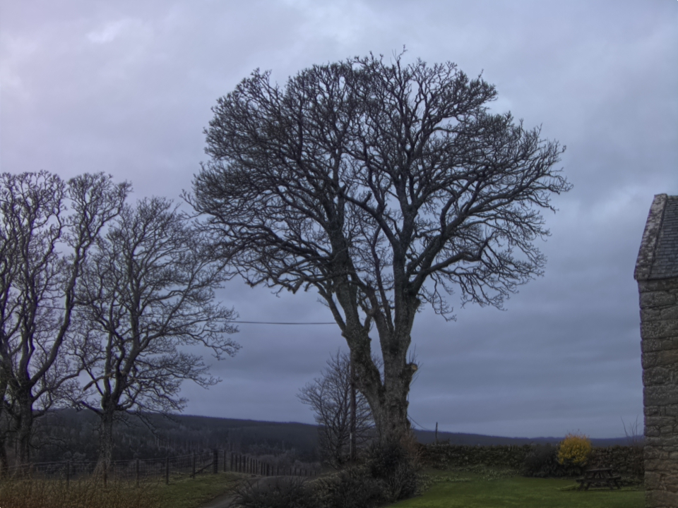 Webcam photo for 08 hrs today