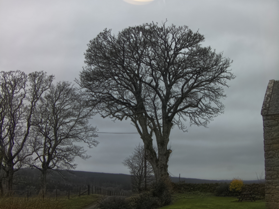 Webcam photo for 11 hrs today