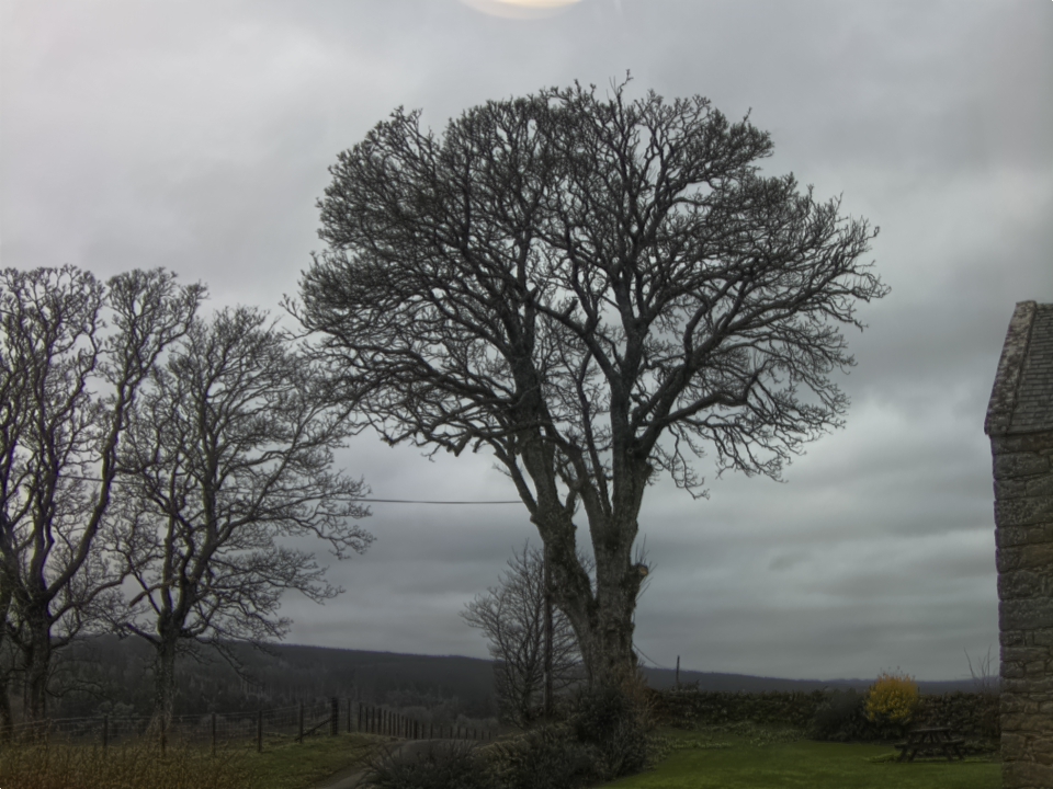 Webcam photo for 12 hrs today