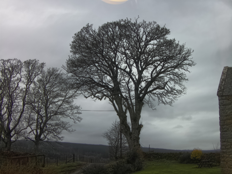 Webcam photo for 15 hrs today