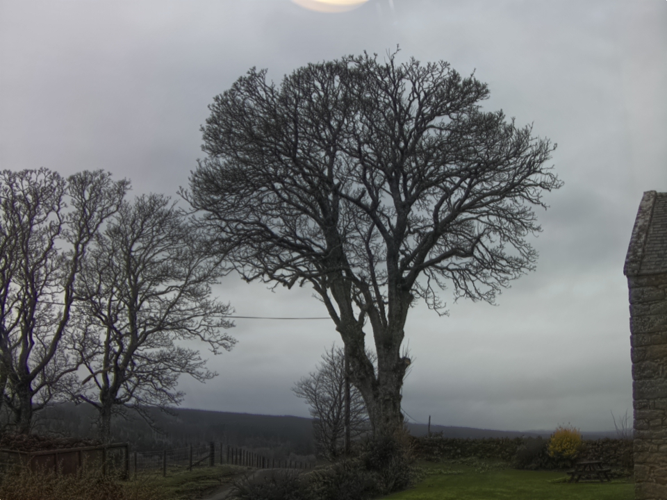 Webcam photo for 16 hrs today