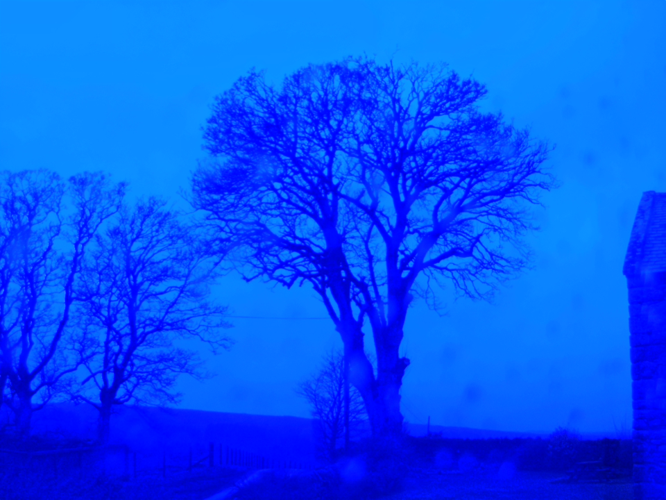 Webcam photo for 07 hrs today