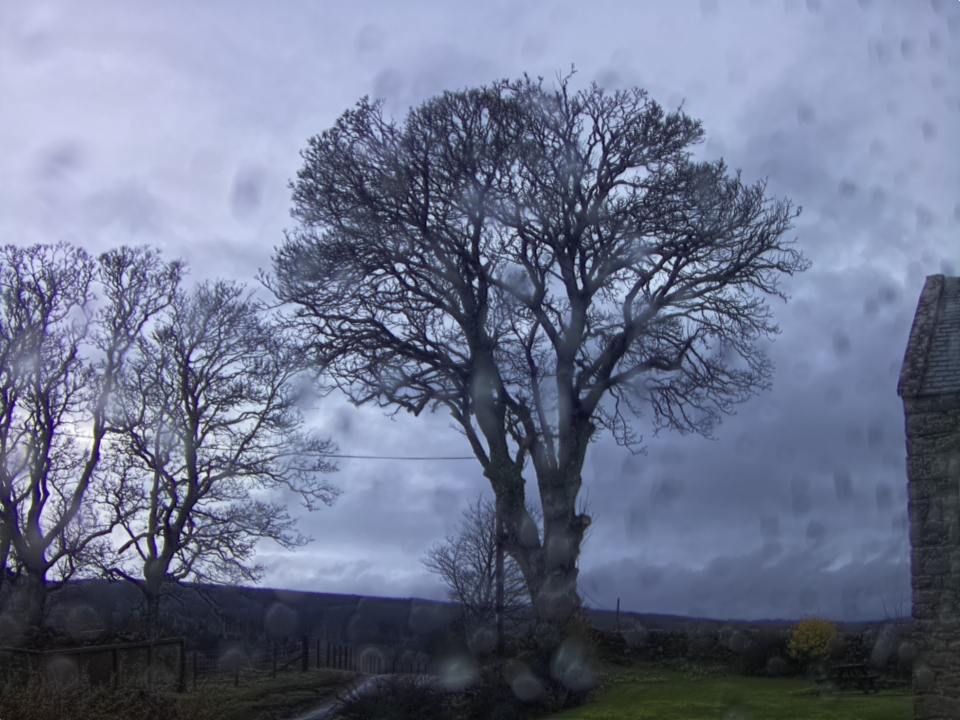 Webcam photo for 08 hrs today