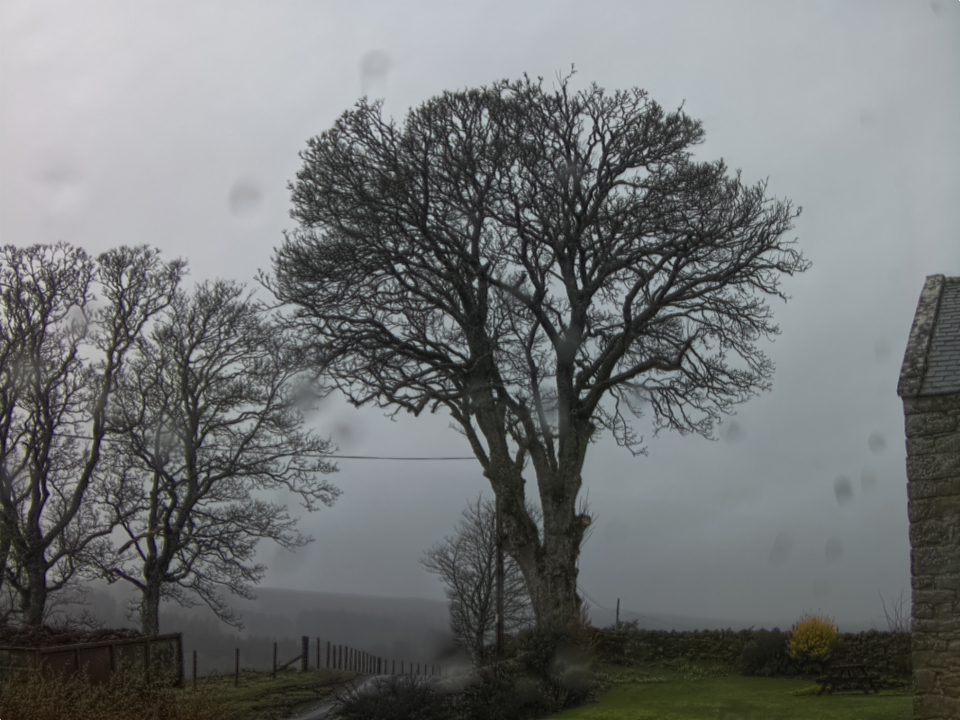 Webcam photo for 10 hrs today