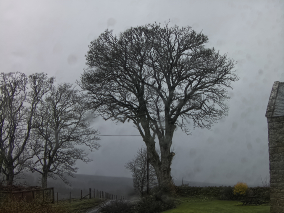 Webcam photo for 11 hrs today