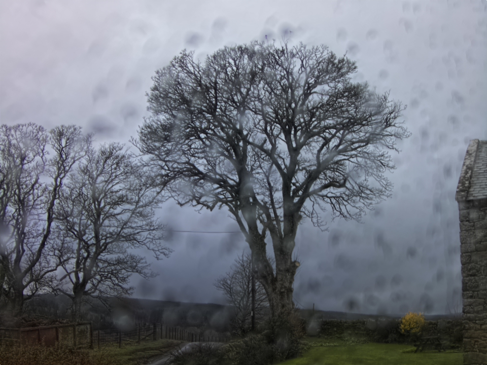 Webcam photo for 15 hrs today