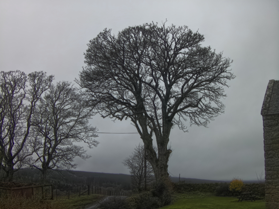 Webcam photo for 10 hrs today