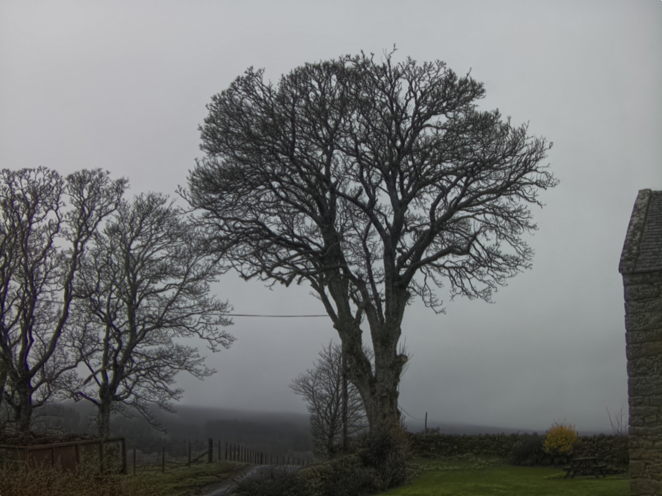 Webcam photo for 11 hrs today