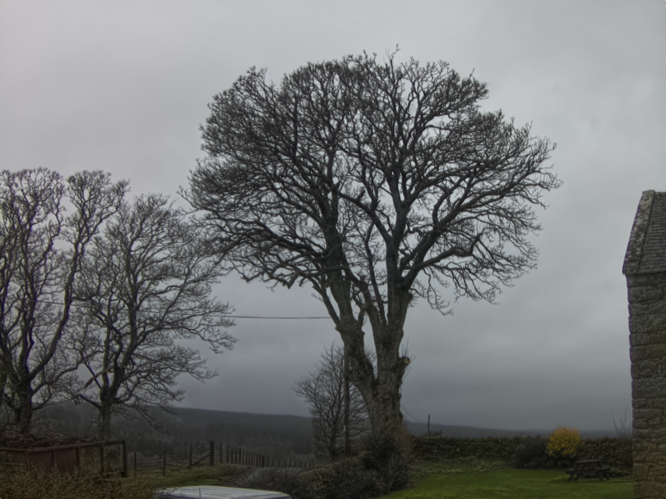 Webcam photo for 13 hrs today