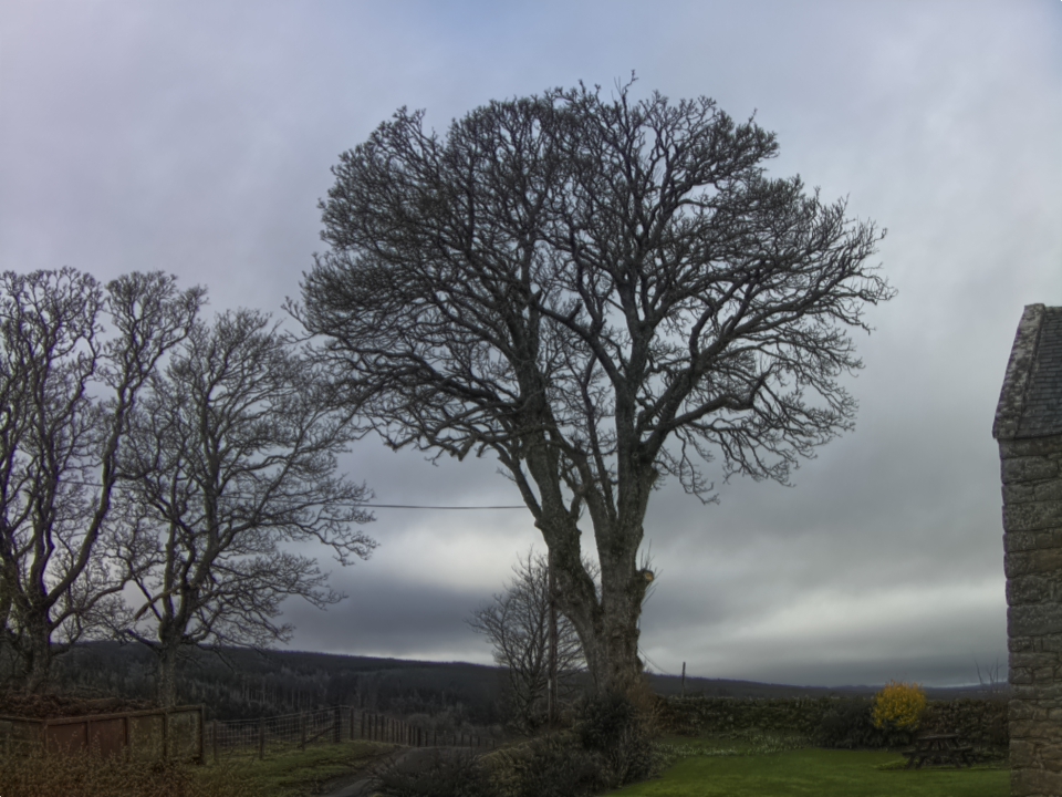 Webcam photo for 12 hrs today