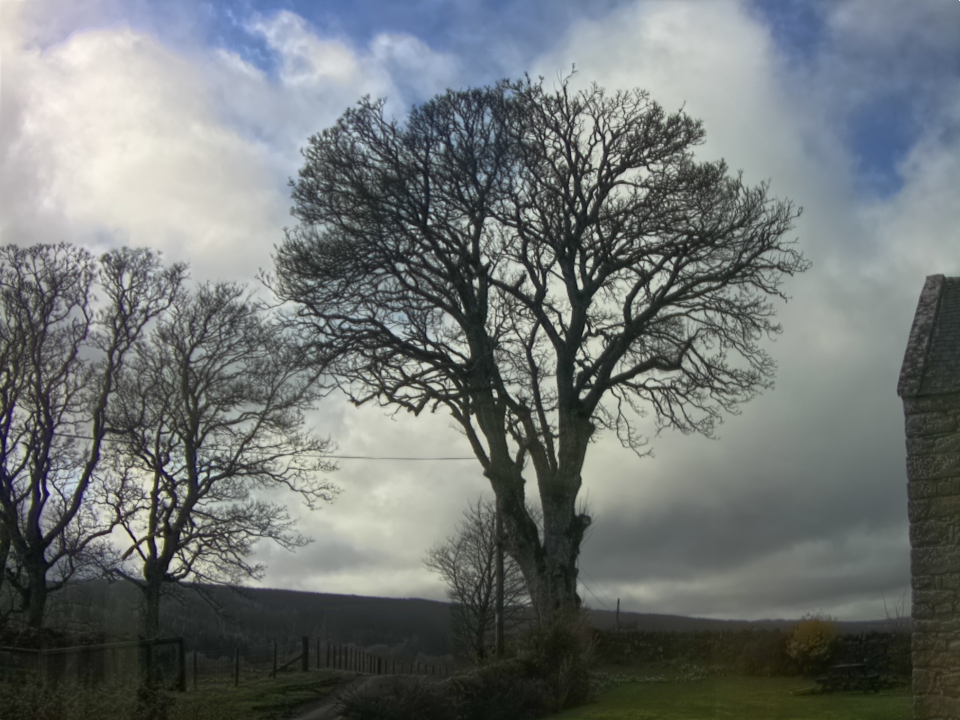 Webcam photo for 14 hrs today