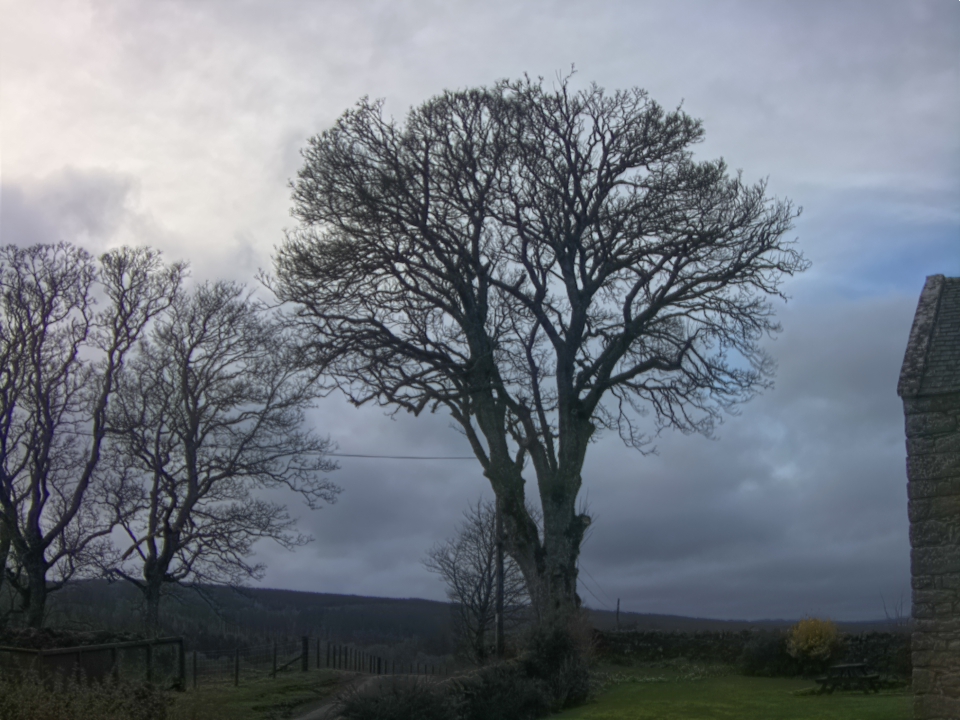 Webcam photo for 16 hrs today