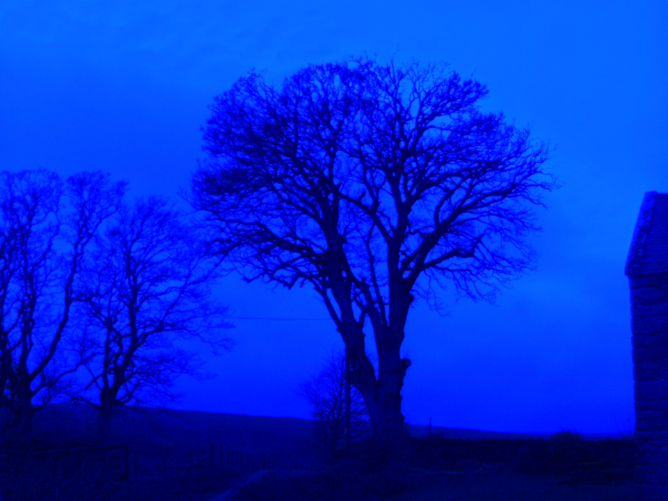 Webcam photo for 18 hrs today