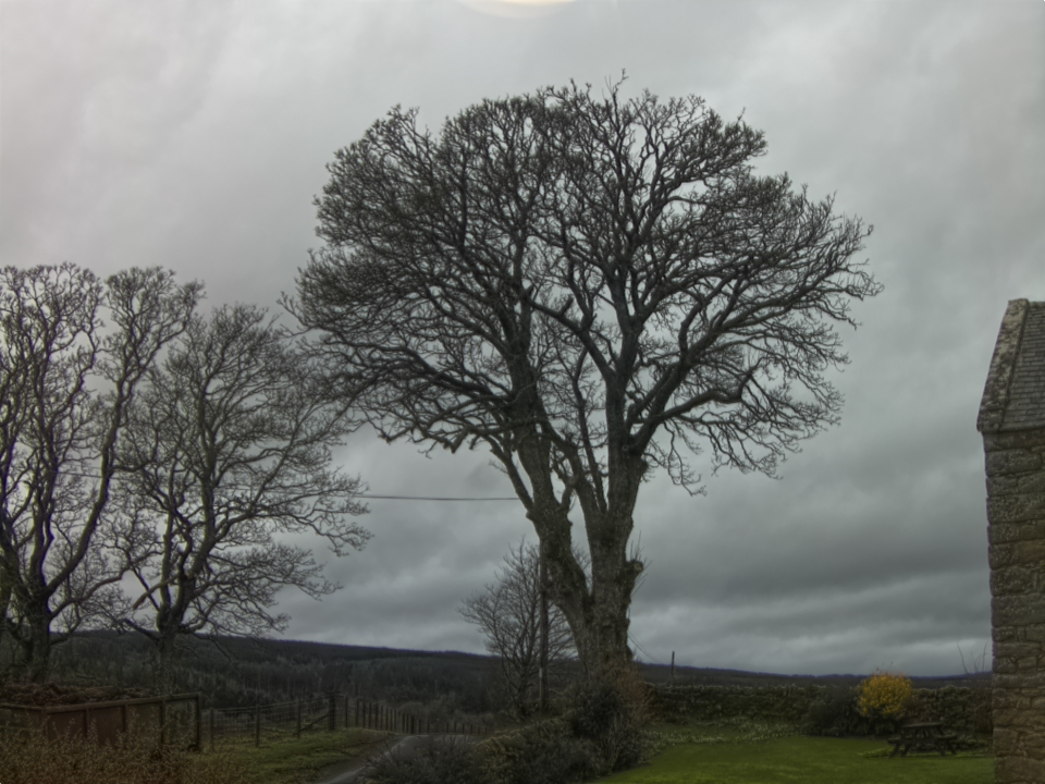 Webcam photo for 10 hrs today