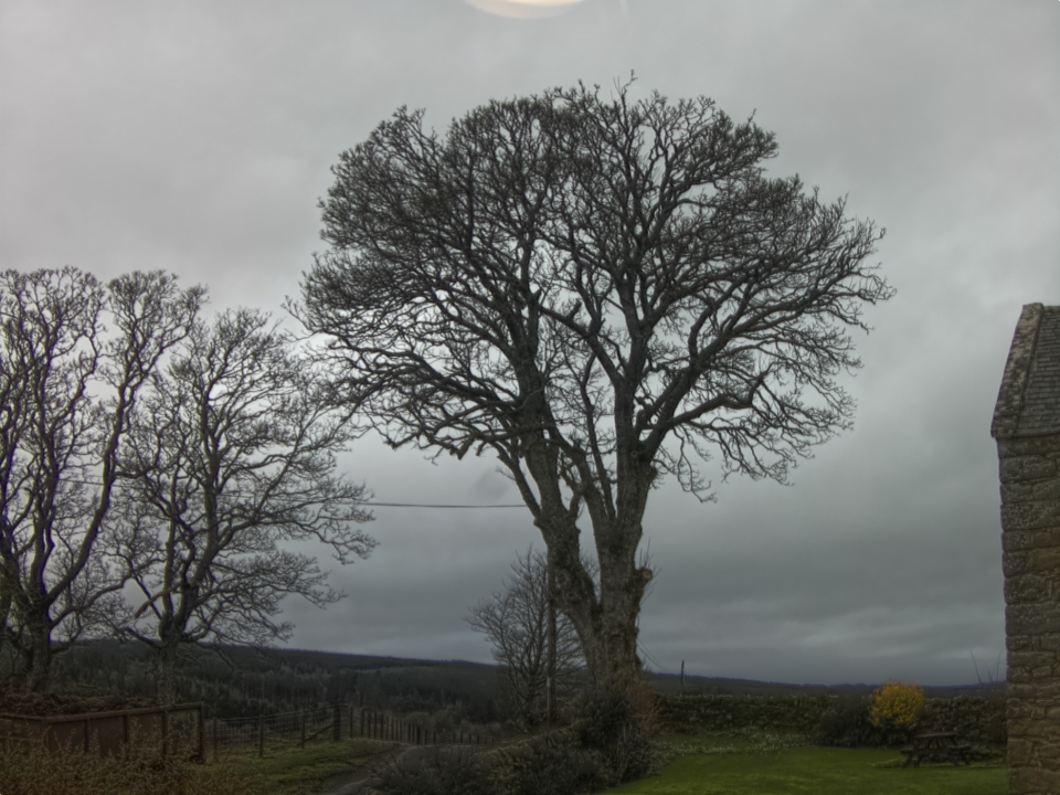 Webcam photo for 11 hrs today