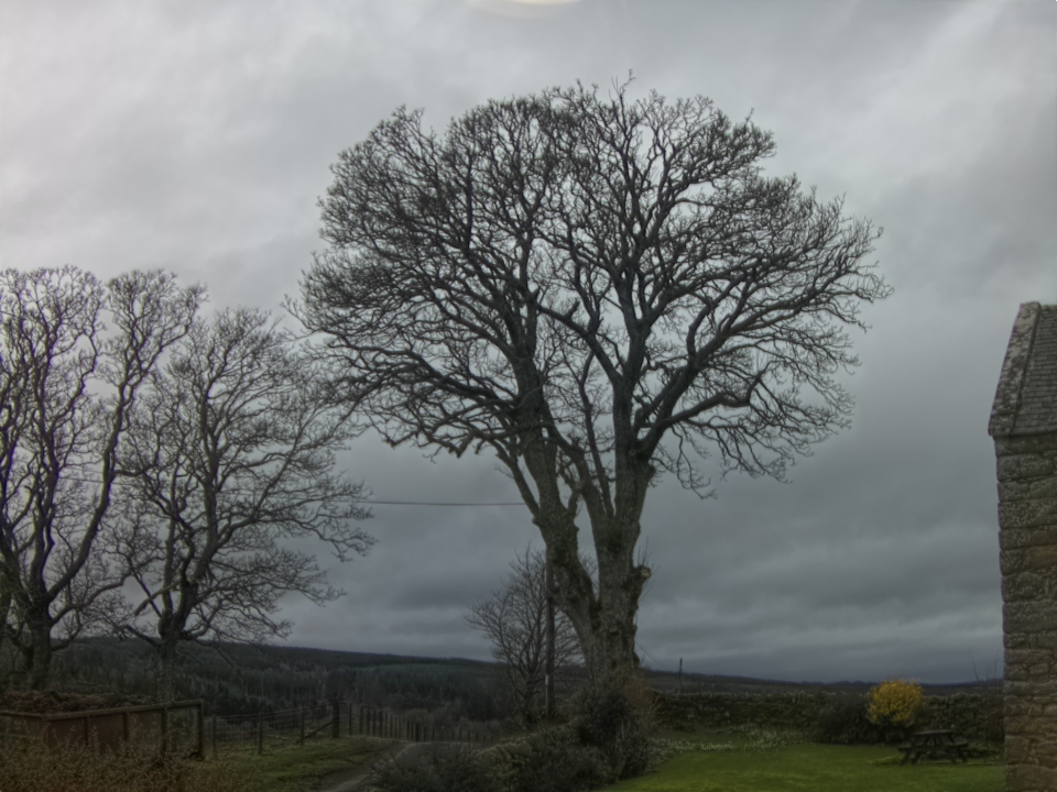 Webcam photo for 12 hrs today