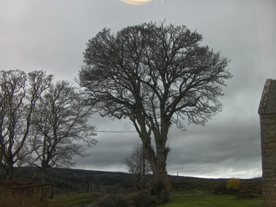 Webcam photo for 13 hrs today