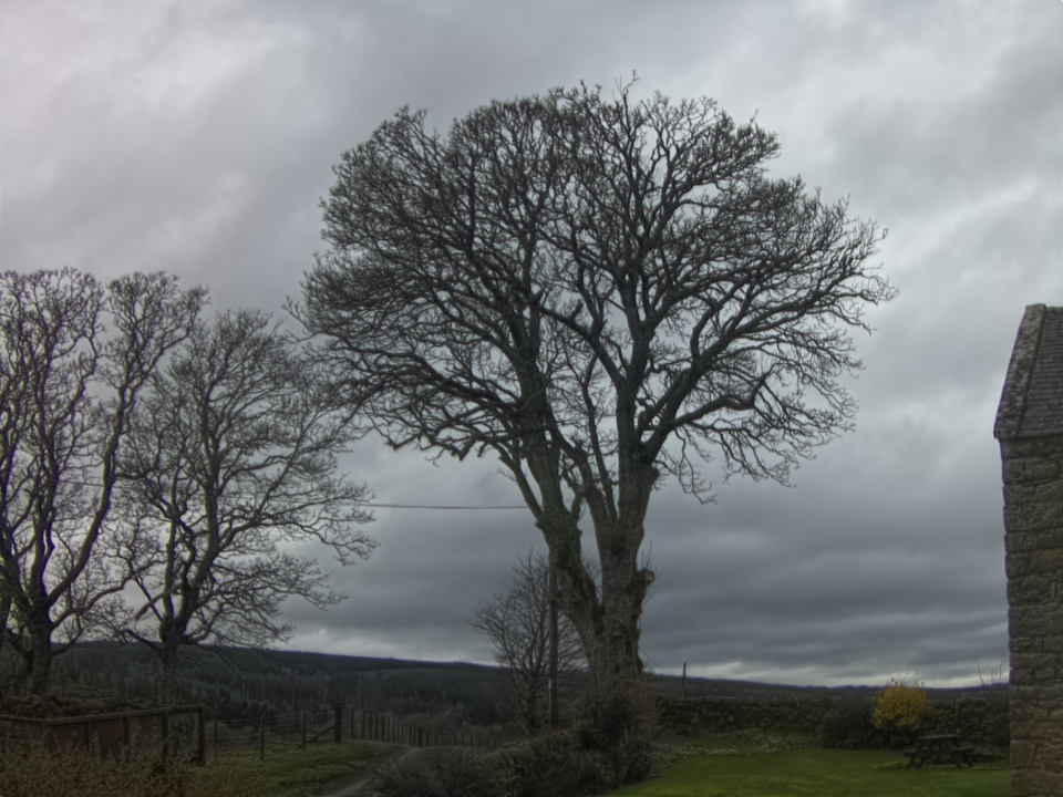 Webcam photo for 14 hrs today