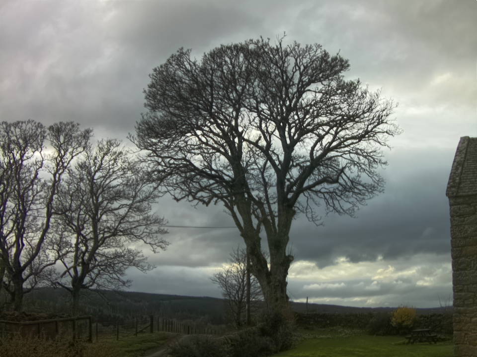 Webcam photo for 16 hrs today