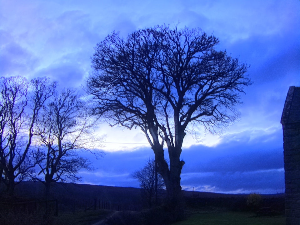 Webcam photo for 18 hrs today