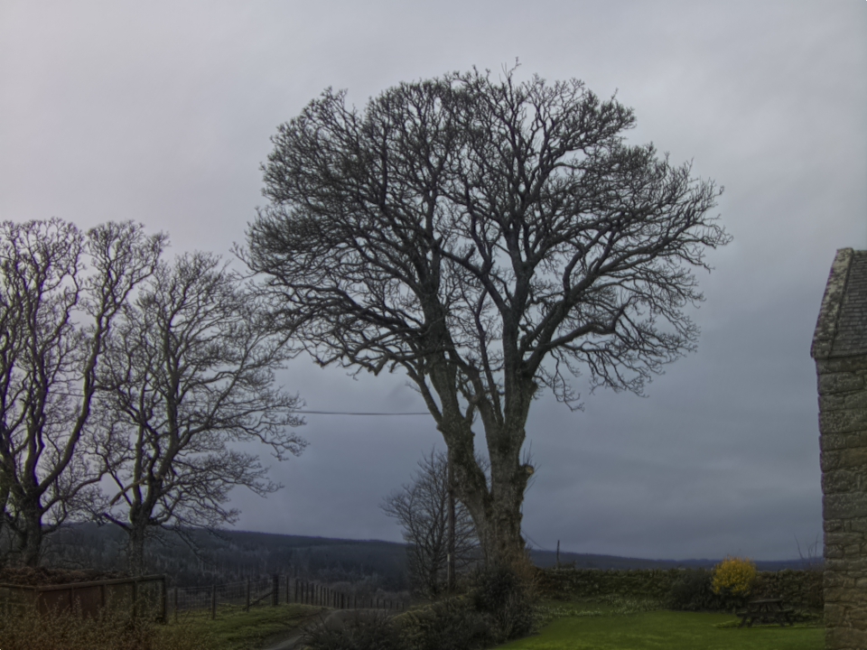 Webcam photo for 08 hrs today