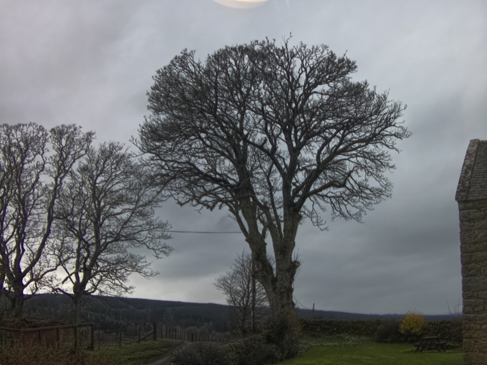 Webcam photo for 11 hrs today