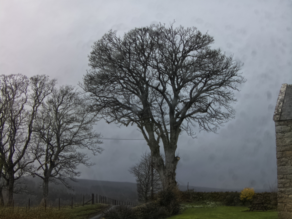 Webcam photo for 14 hrs today