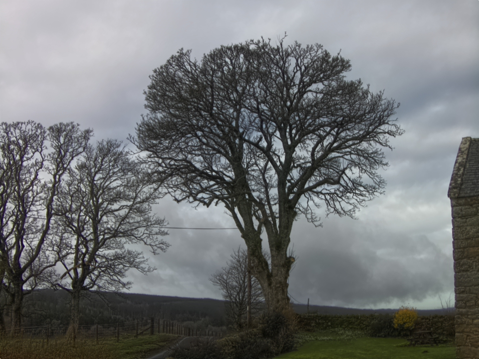 Webcam photo for 09 hrs today