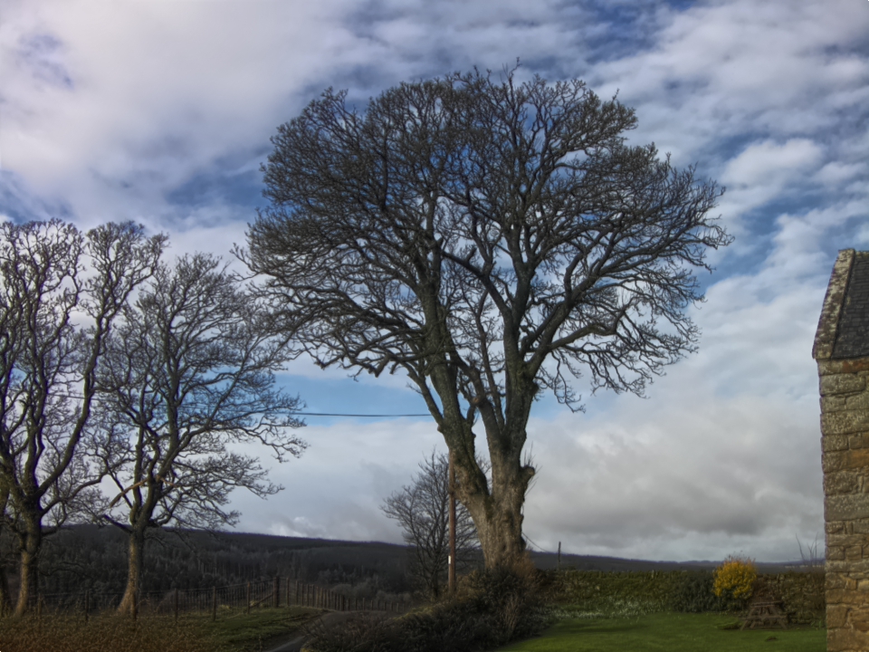 Webcam photo for 10 hrs today