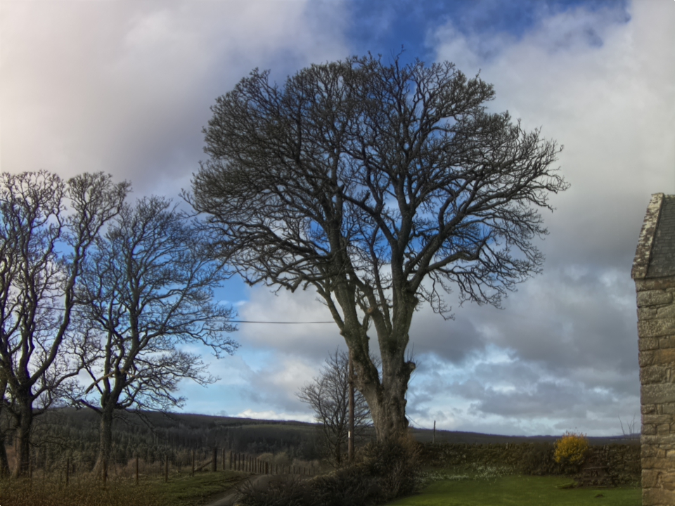 Webcam photo for 11 hrs today