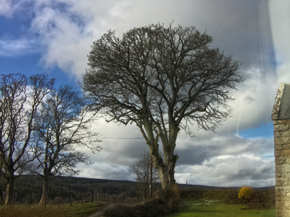 Webcam photo for 12 hrs today