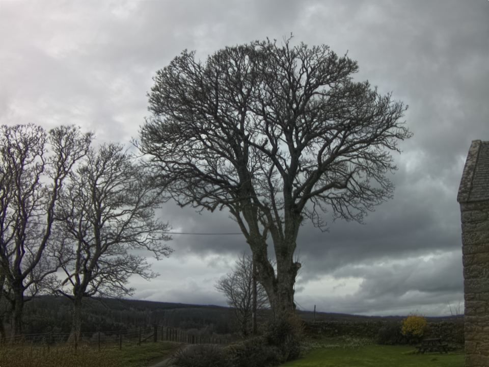 Webcam photo for 13 hrs today