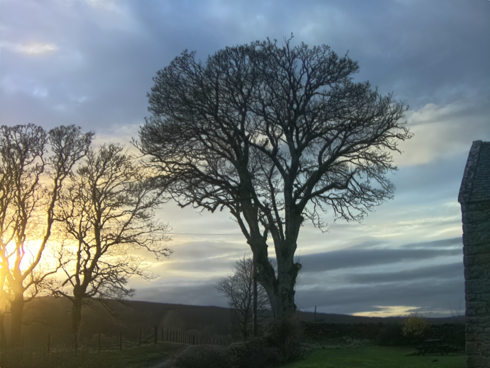 Webcam photo for 17 hrs today