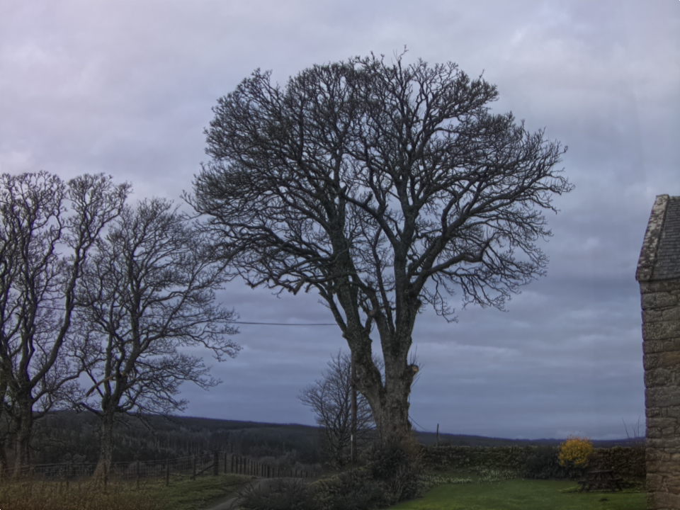 Webcam photo for 08 hrs today