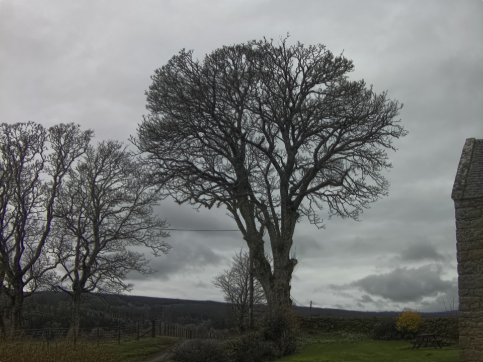 Webcam photo for 12 hrs today