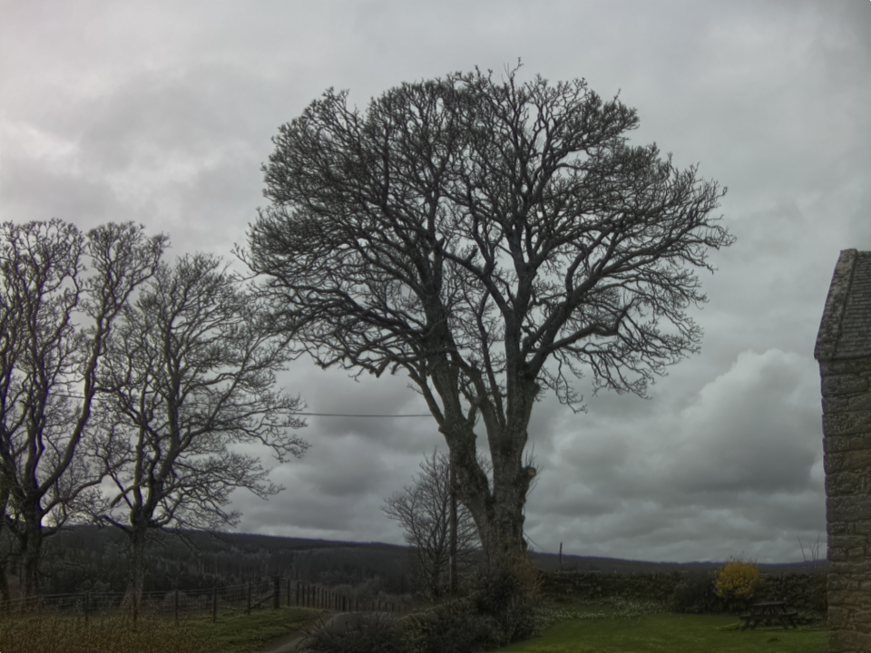 Webcam photo for 13 hrs today