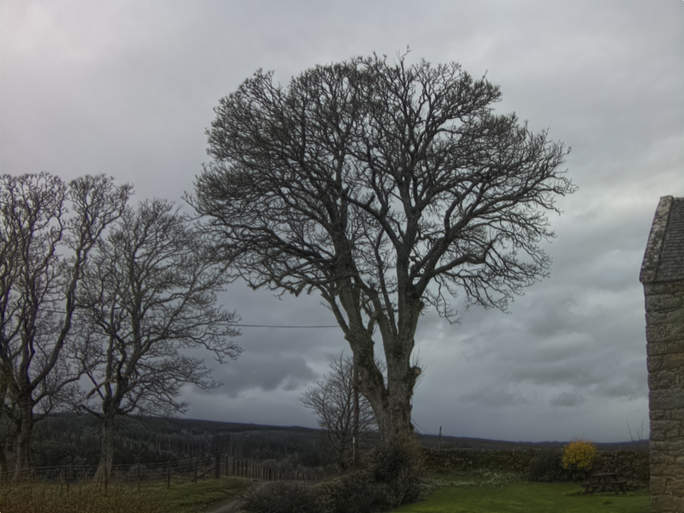 Webcam photo for 14 hrs today