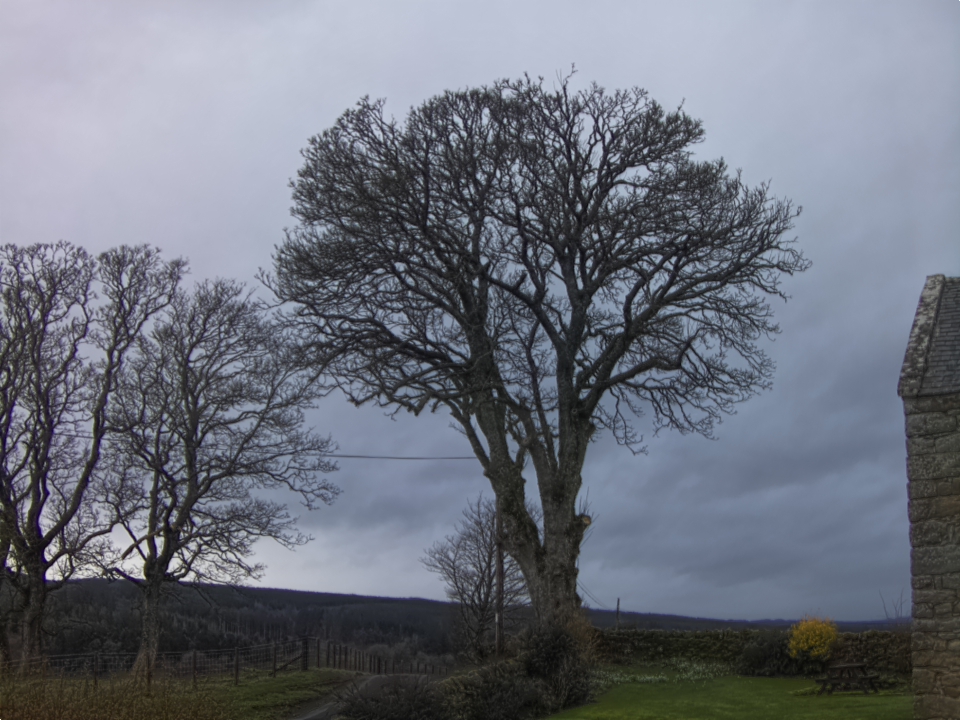 Webcam photo for 10 hrs today