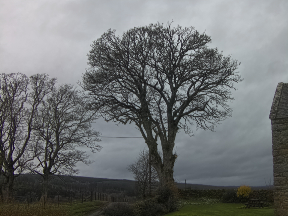 Webcam photo for 11 hrs today