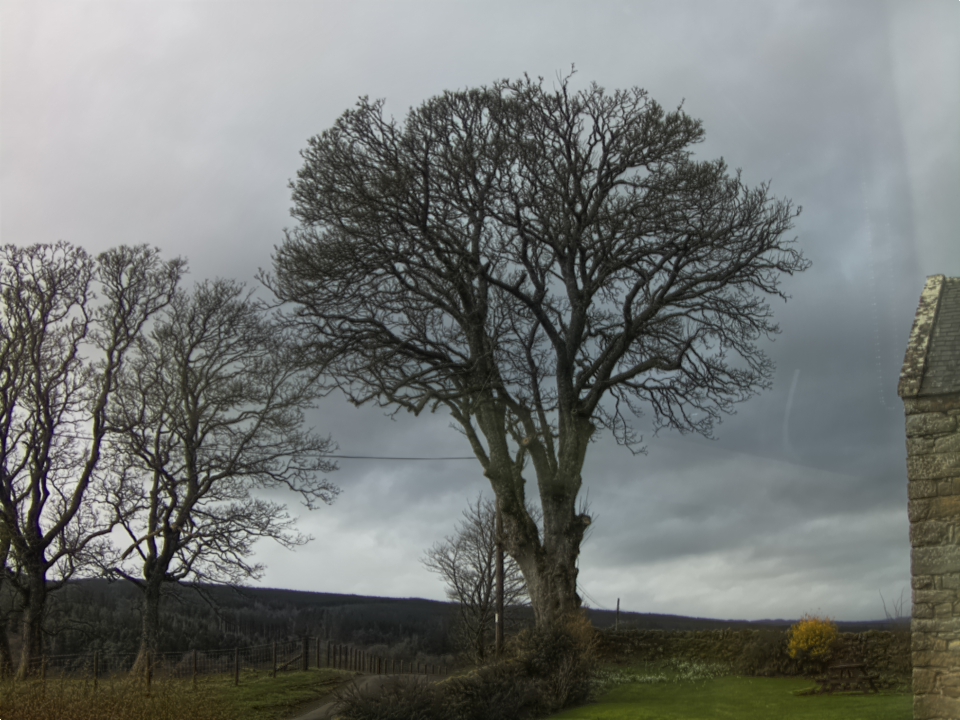 Webcam photo for 12 hrs today