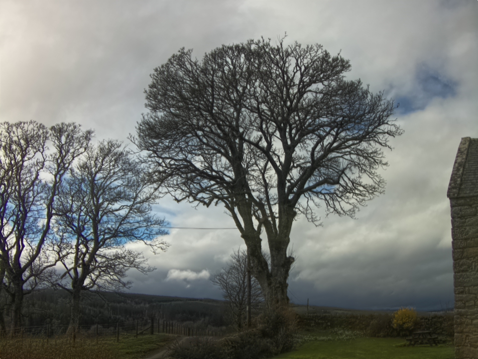 Webcam photo for 14 hrs today