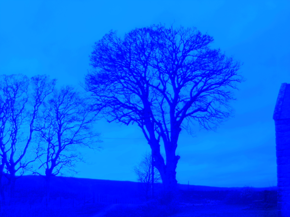 Webcam photo for 18 hrs today