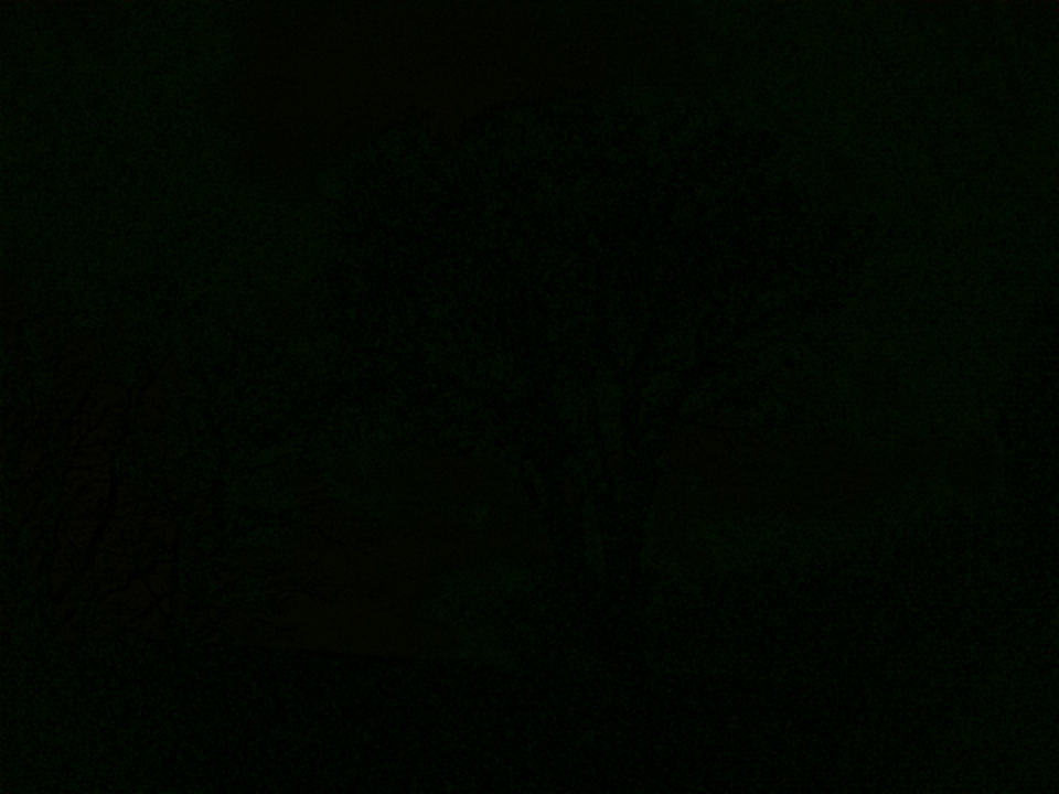 Webcam photo for 03 hrs today