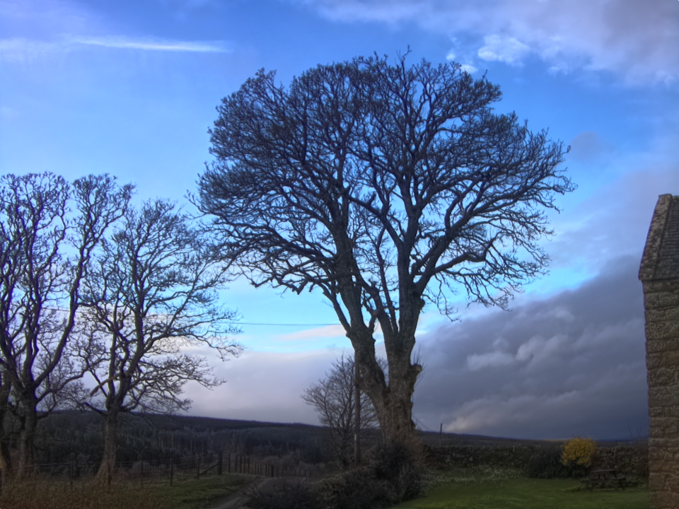 Webcam photo for 08 hrs today