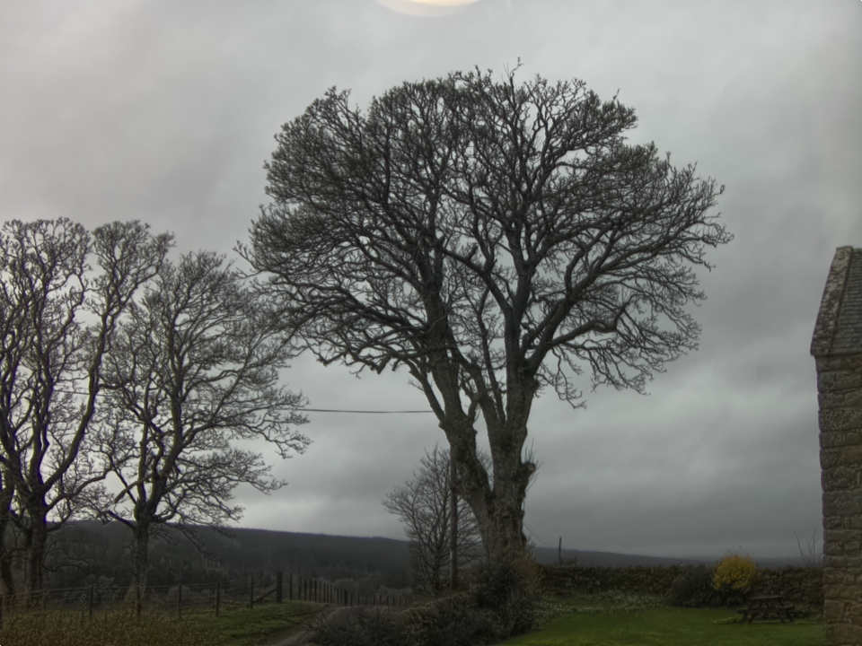 Webcam photo for 11 hrs today