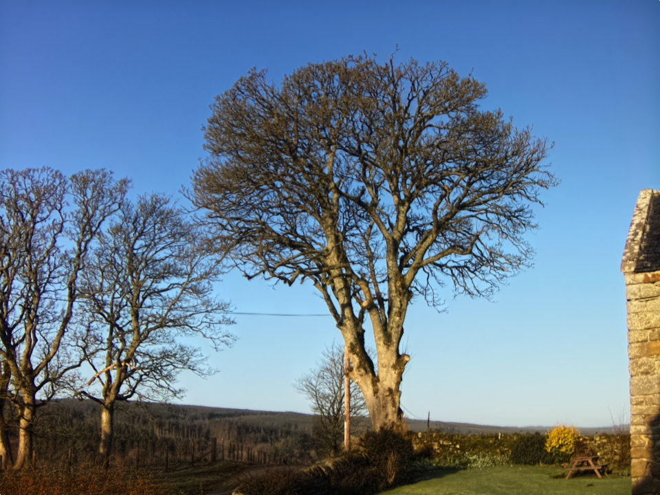 Webcam photo for 08 hrs today