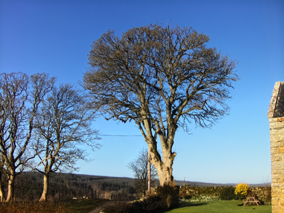 Webcam photo for 09 hrs today