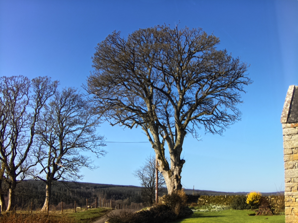 Webcam photo for 11 hrs today