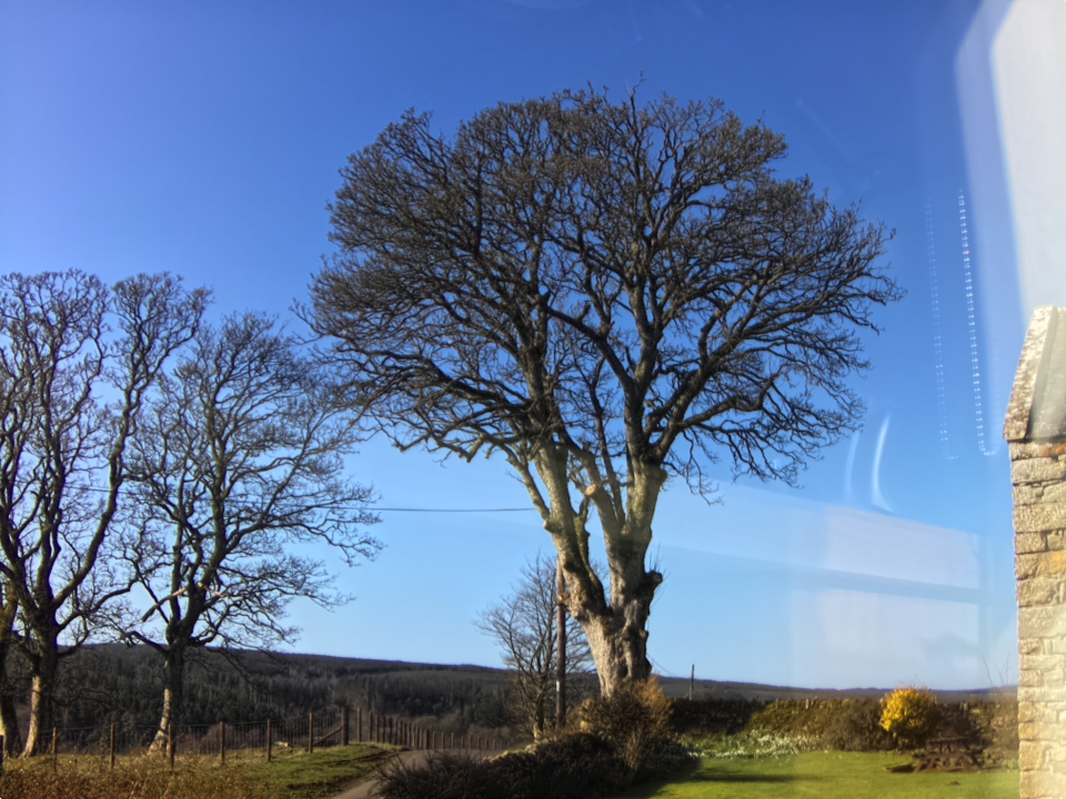 Webcam photo for 12 hrs today